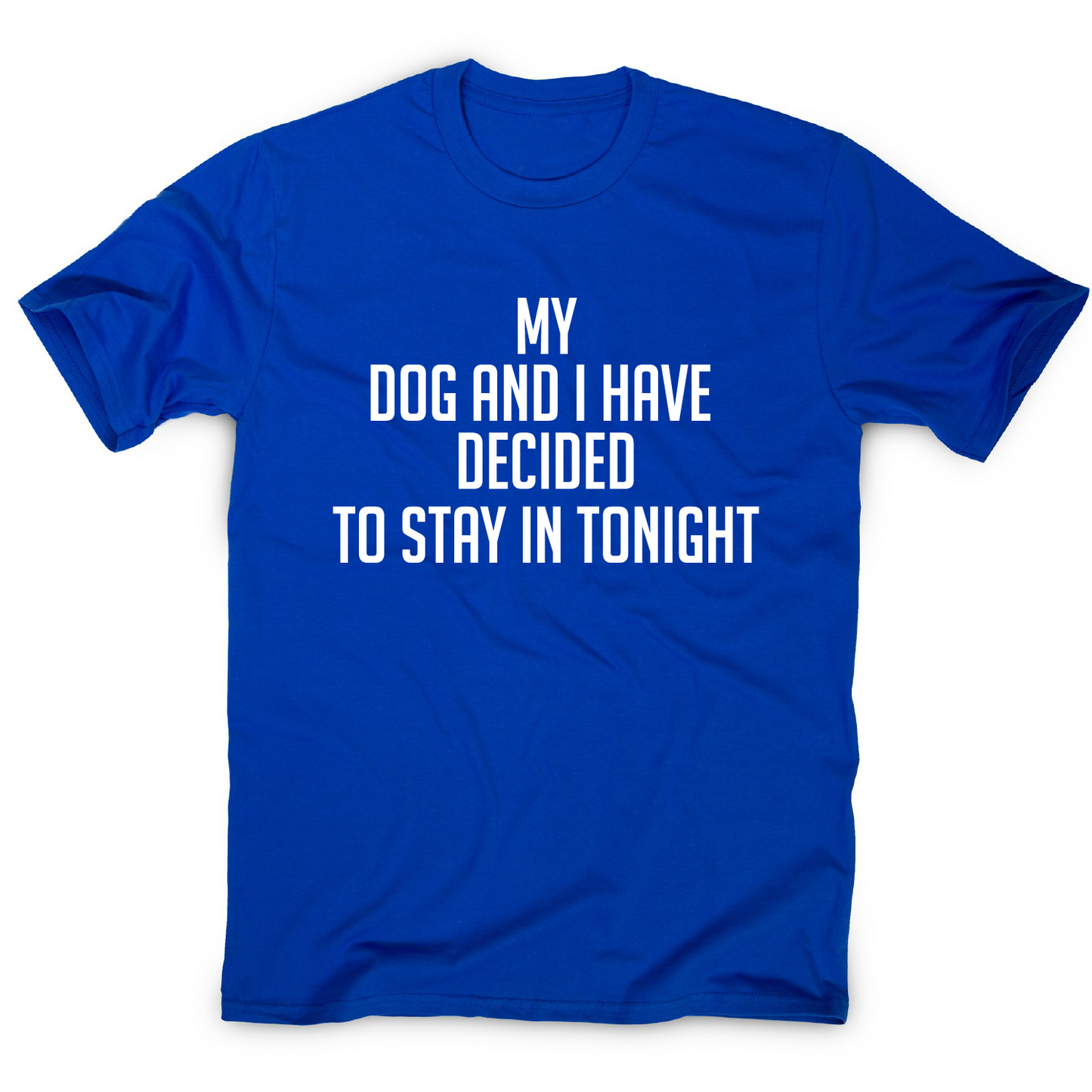 My dog and I have decided to stay in tonight funny t-shirt men's