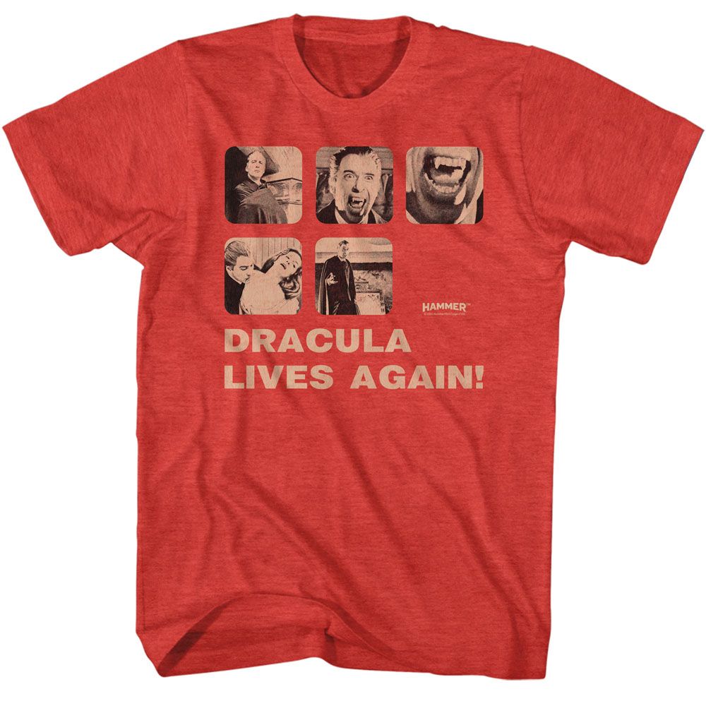 Hammer Horror - Dracula Risen Boyfriend Tee