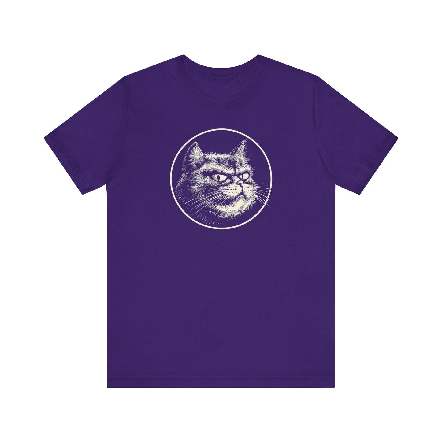 Grumpy Cat Graphic Tee Ã¢â‚¬â€œ Vintage Style Cat Lover Shirt