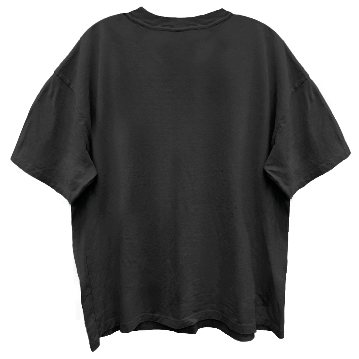 AEROSMITH GUITAR WINGS VINTAGE BLACK ENZYME WASH T-SHIRT/GIANT VINTAGE T-SHIRT
