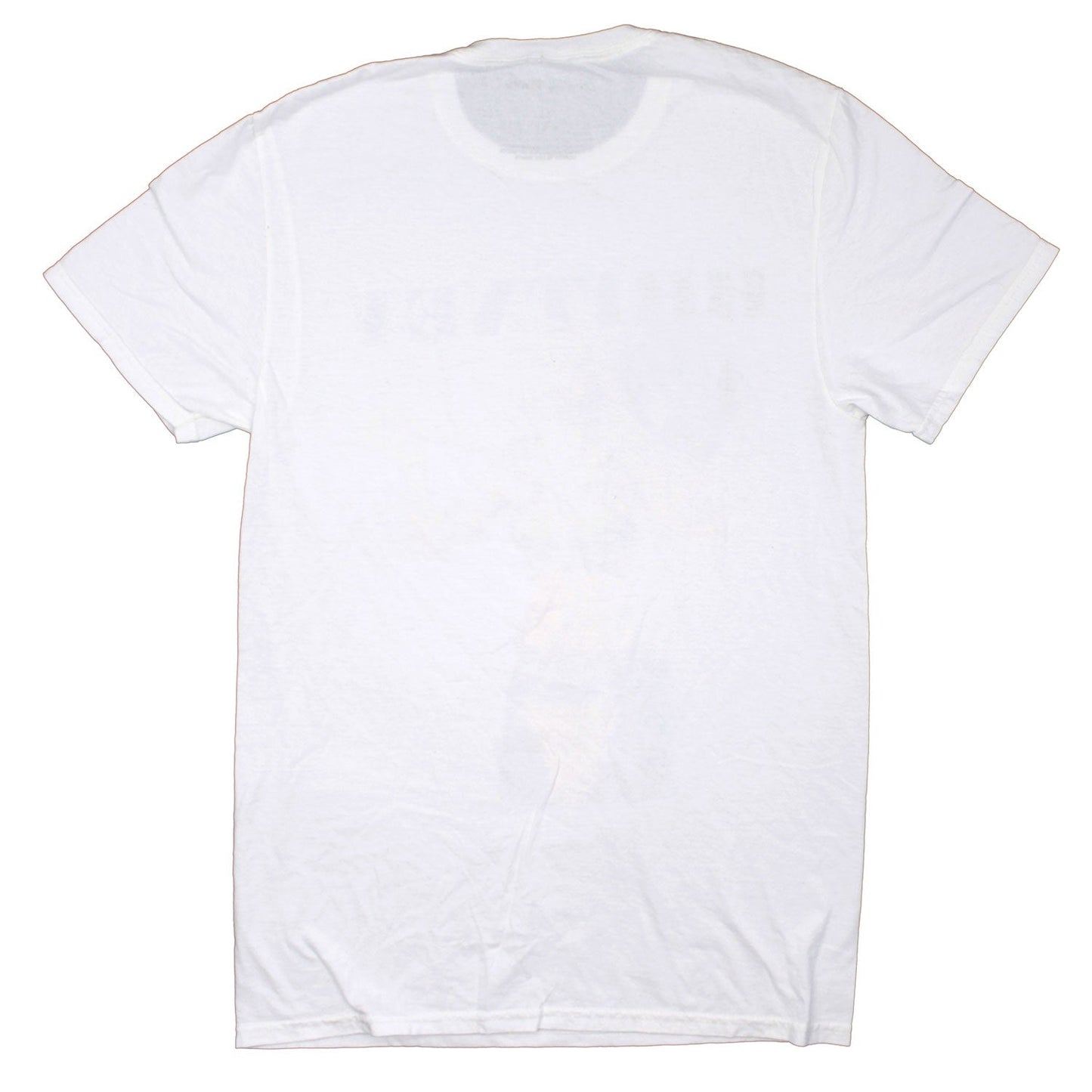Britney Snake Photo Under Logo T-shirt