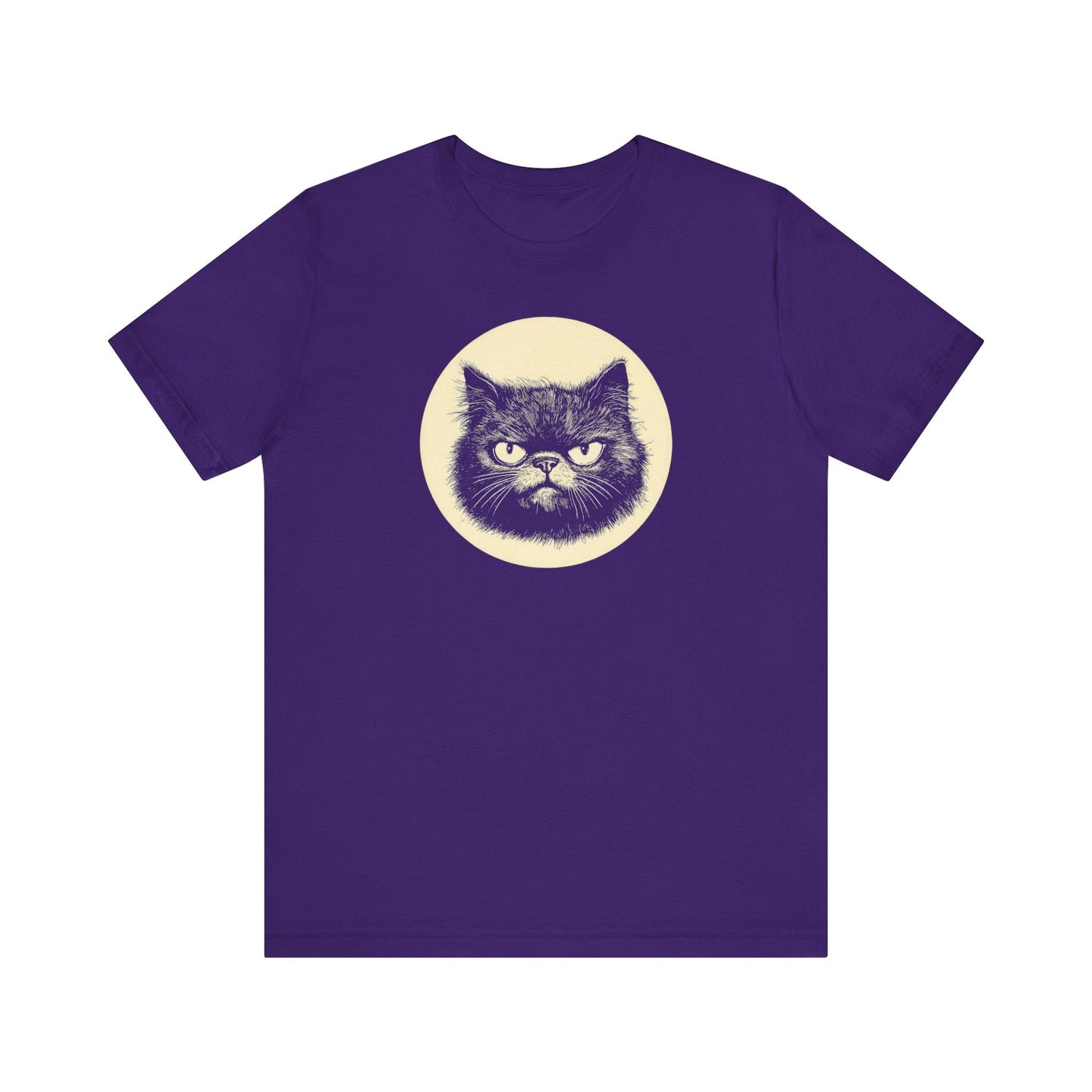 Grumpy Black Cat Graphic Tee Ã¢â‚¬â€œ Vintage Style Cat Lover Shirt