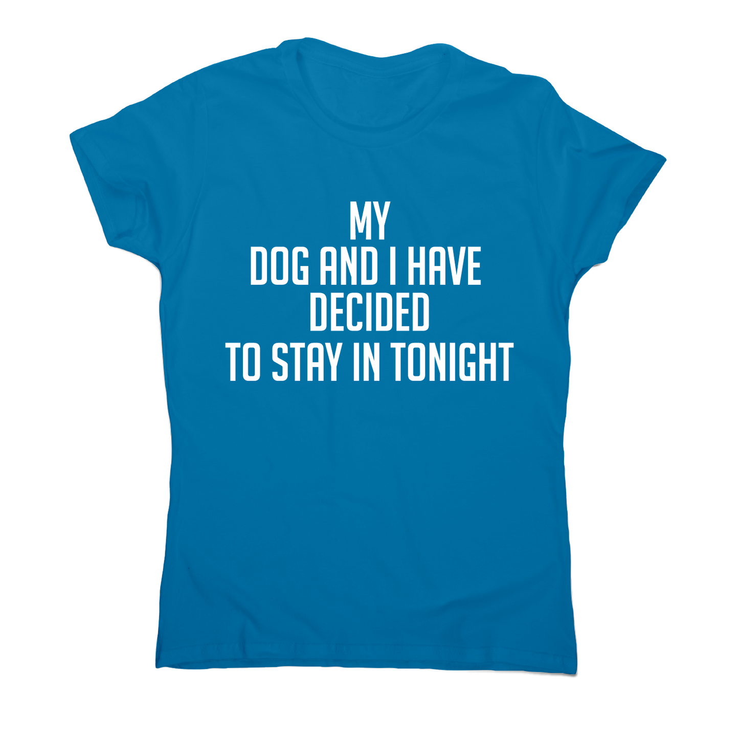 My dog and I have decided to stay in tonight funny t-shirt women's