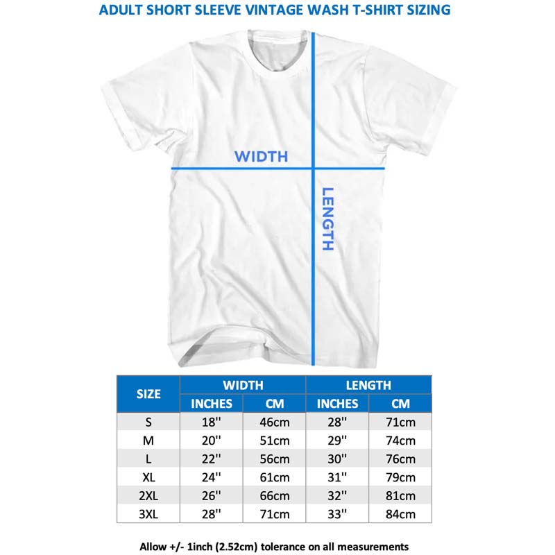 ALICE IN CHAINS Vintage Wash T-Shirt, Dirt Album