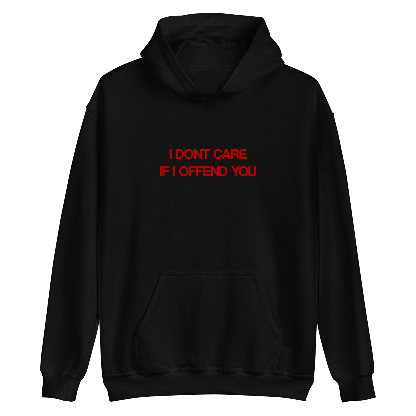 "I Dont Care" Hoodie