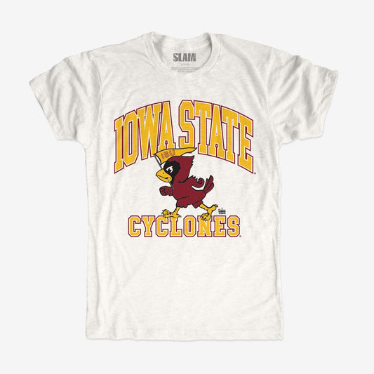 Iowa State Oversized Graphic Vintage Tee