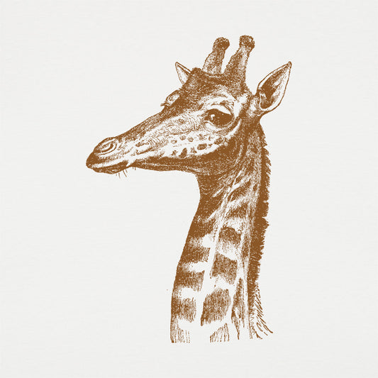 Placid Giraffe Men's T-Shirt