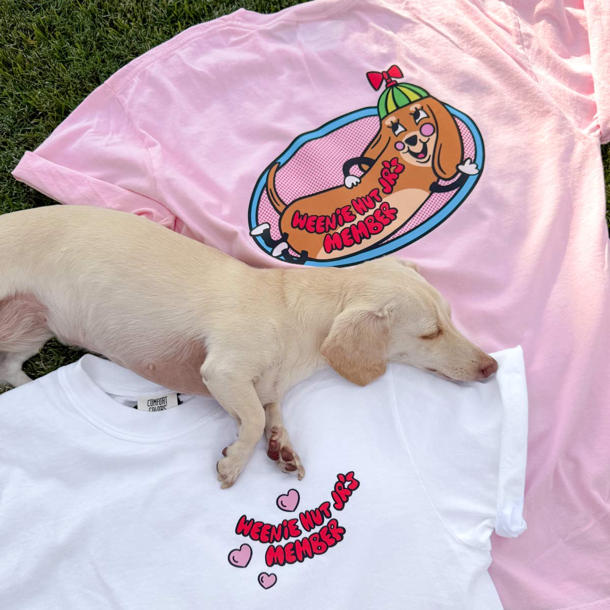 weenie hut jrÃ¢â‚¬â„¢s unisex tee | ween pink